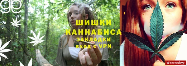 сатива Медногорск