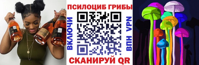Галлюциногенные грибы прущие грибы  ОМГ ОМГ ССЫЛКА  Ядрин  наркотики 